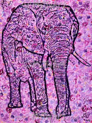 Elephunk Cancer